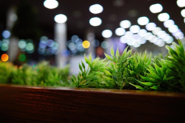 カフェの境界のフェンスの背景に緑の草