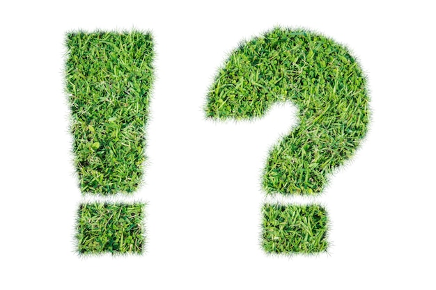 Green grass ecological Question and Exclamation mark icon