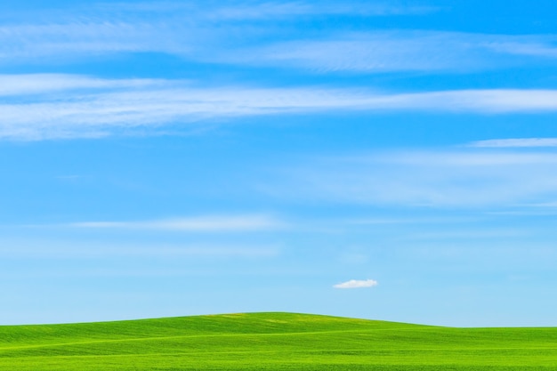 Green grass field against the blue sky, beautiful sunny landscape