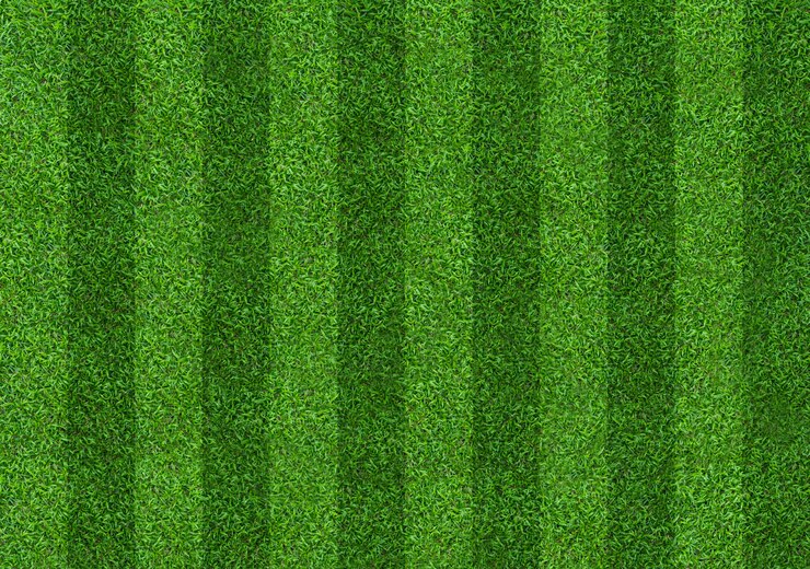 Photo green grass field background for soccer and football sports