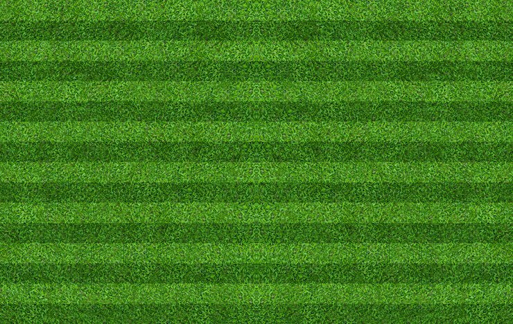 Photo green grass field background for soccer and football sports