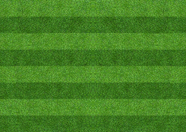 green grass field background for soccer and football sports