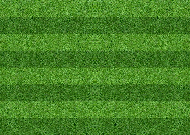 Green grass field background for soccer and football sports