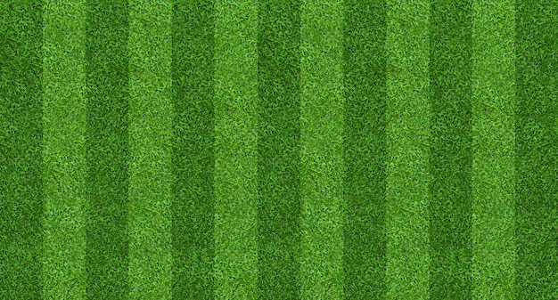 Green grass field background for soccer and football sports