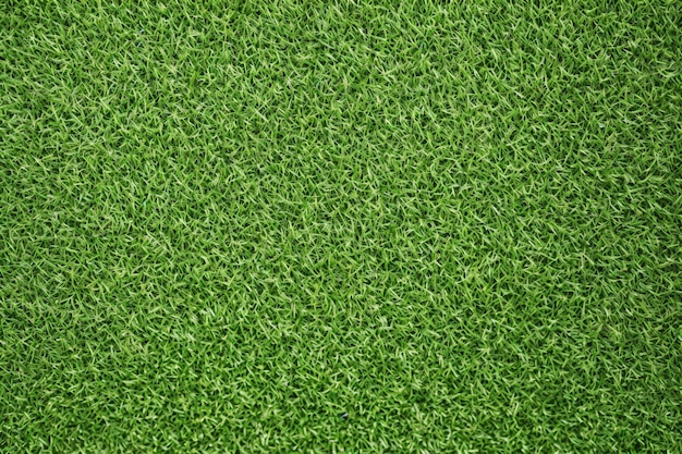 Green grass field background