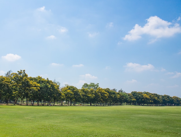 大きな都市公園の緑の草原