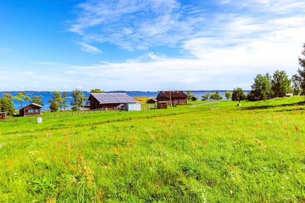 Green grass field and blue sky bright sunny summer day