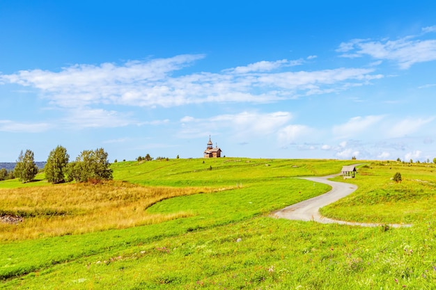 Green grass field and blue sky Bright sunny summer day