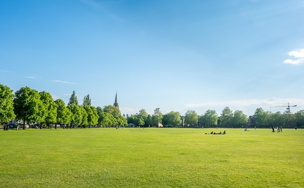 Green grass field in Cambridge