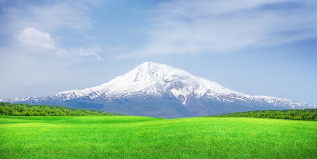 雪のアララト山の前の緑の芝生のフィールド