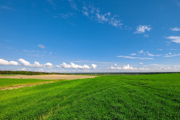 Green grass field on hills and blue sky with clouds