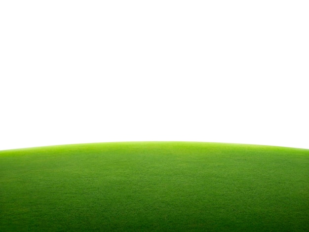 Green grass field isolated on white background