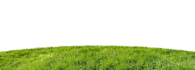 Green grass field isolated on white background