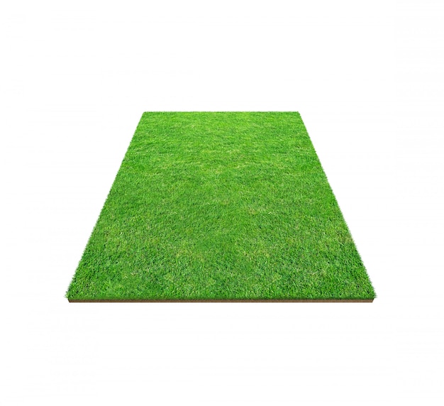 Green grass field isolated on white with clipping path.