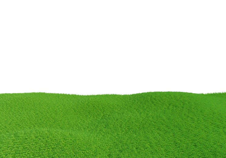 Photo 녹색 잔디 필드 흰색 절연