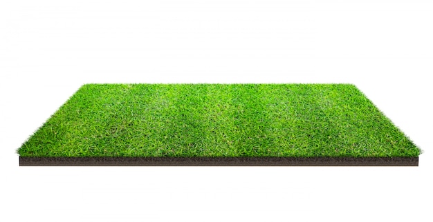 Green grass field isolated with clipping path. sports field. summer team games.