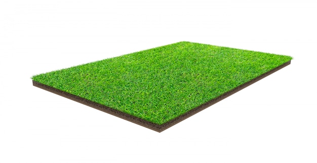 Green grass field isolated with clipping path. Sports field. Summer team games.