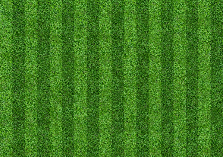Photo green grass field pattern background for soccer and football.