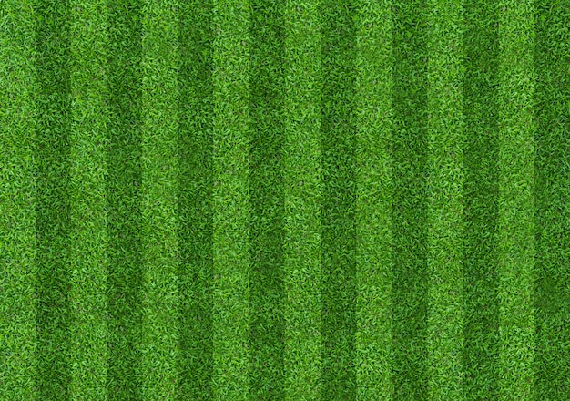 축구와 축구에 대 한 녹색 잔디 필드 패턴 배경.