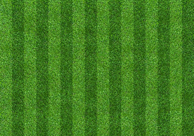 Photo green grass field pattern background for soccer and football.