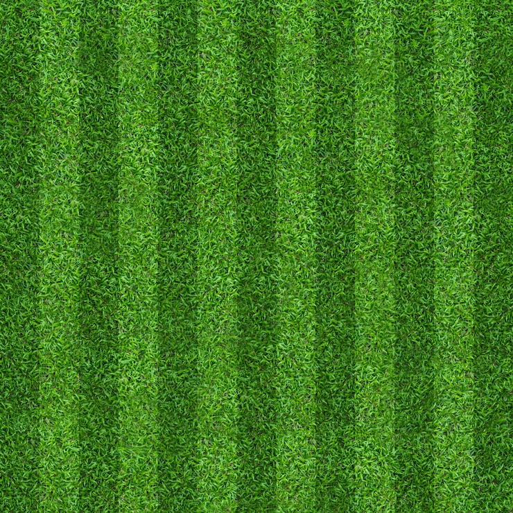 Photo green grass field pattern background for soccer and football.