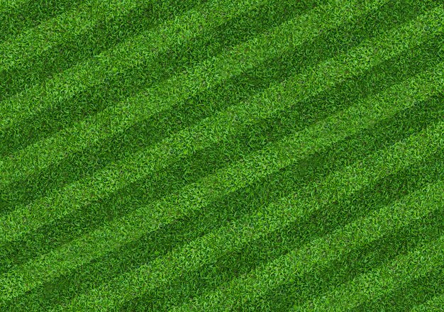 Предпосылка картины поля зеленой травы для футбола и футбола.