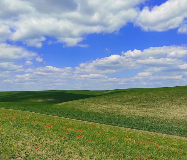 小さな丘と雲と青い空の緑の芝生フィールド