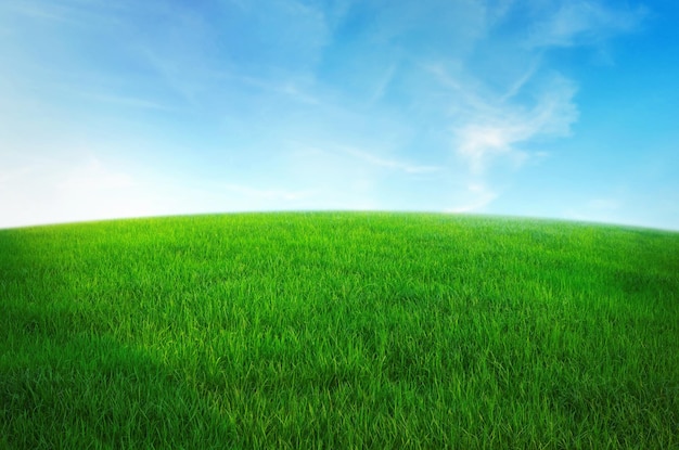 Photo green grass field with blue sky ad white cloud nature landscape background