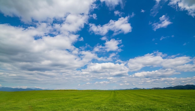 空と雲のある緑の芝生のフィールド AI が生成