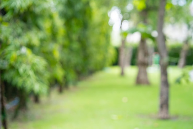 Photo a green grass field with trees in the background