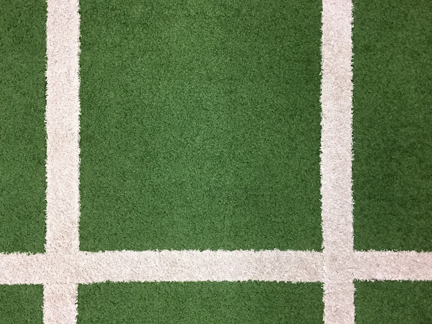 Green grass field with white stripe