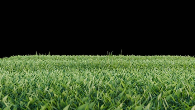 green grass and flower on black background