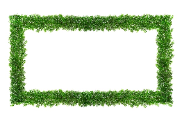 Green grass frame with copyspace Square border template isolated on white background