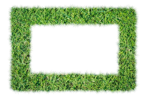 Green grass frame