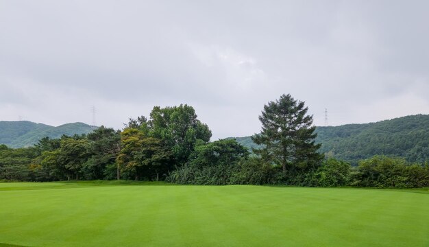 Зеленая трава, облака на поле для гольфа и синее небо.