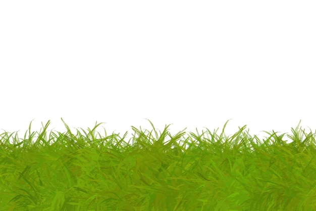 Green Grass on the ground with white background Illustration