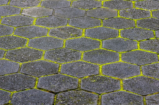 Green grass growing on the cement surface Nature background