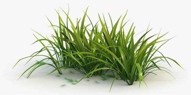 a green grass is growing in a white background