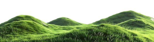 Photo green grass isolated green abstract for banner green grass background green grass artificial grass