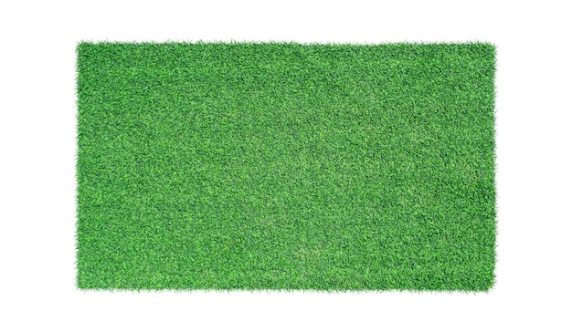 Green grass isolated. Top view