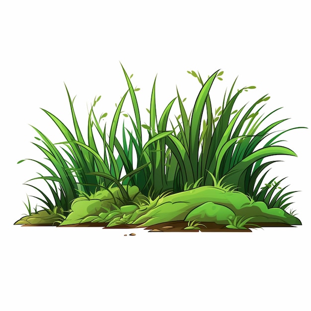 Green grass isolated on white background Vector illustration