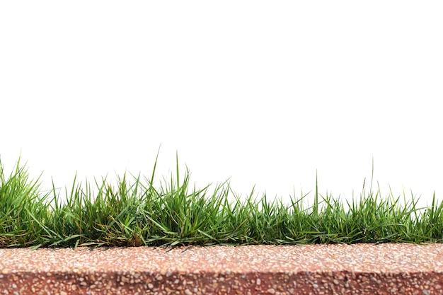 Photo green grass, isolated on a white background