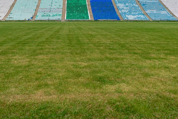 야외 경기장의 푸른 잔디 잔디밭은 텍스트 디자인을 위한 공간 모형을 복사합니다.