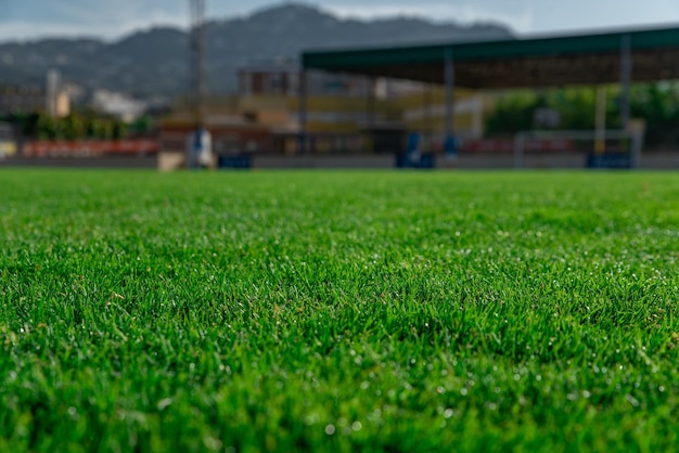 Green grass lawn on the football field