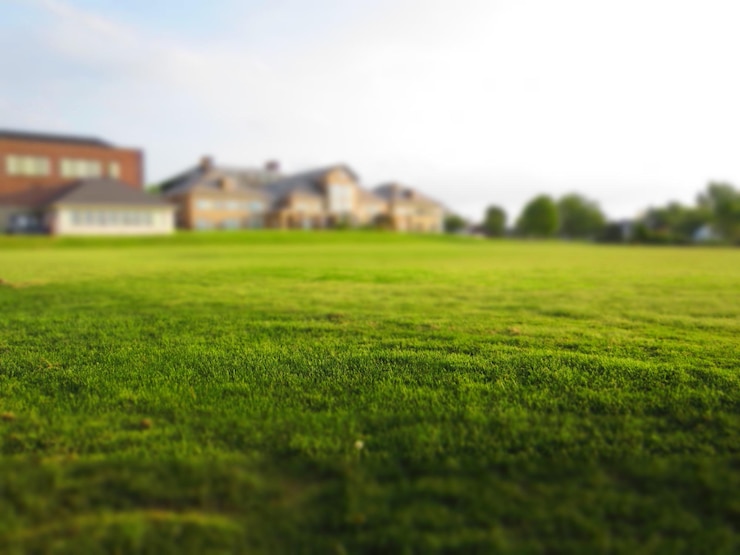 Photo green grass lawn