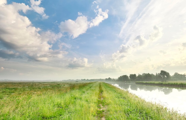 green grass meadow and beautiful sky