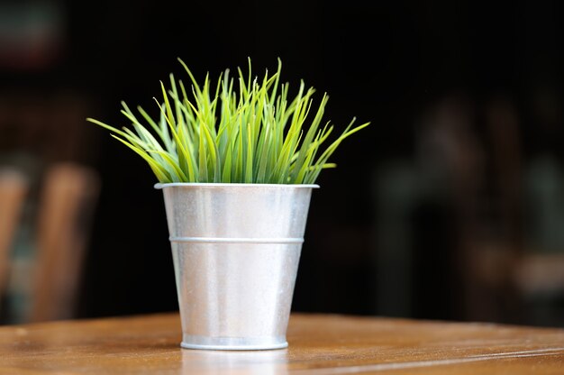 Green grass in a metal pot