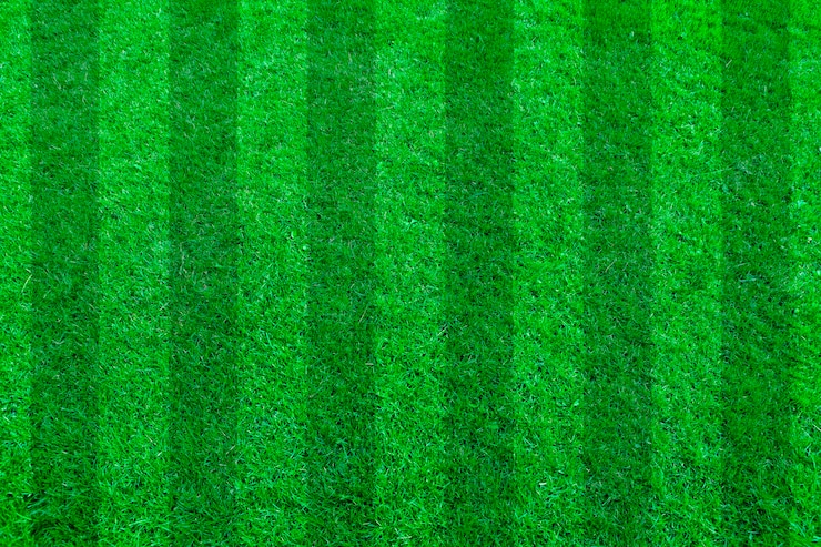 Photo green grass natural background. football field