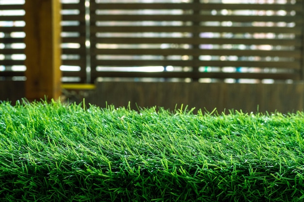 Green grass natural background texture fresh spring green grass - image