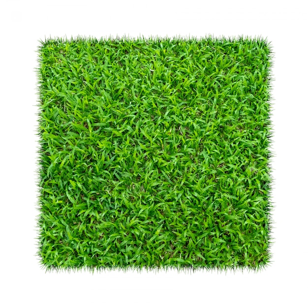 緑の草。自然な風合いの背景。新鮮な春の緑の芝生。白い背景で隔離